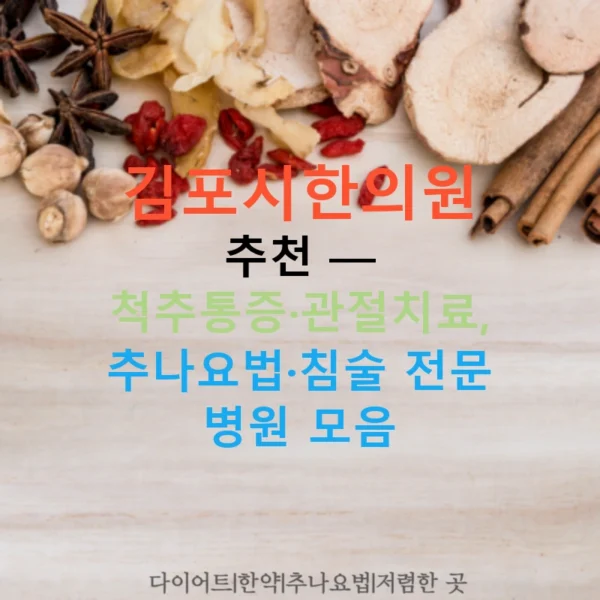 김포시한의원 추천 — 척추통증·관절치료, 추나요법·침술 전문 병원 모음